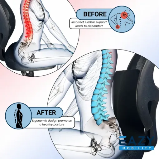 Eazy Back Support Cushion - Image 2